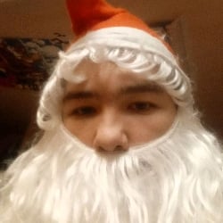 Solid Silver foxes minecraft online