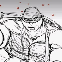 raph 2014