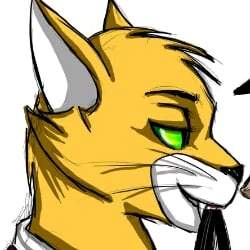 Top cat