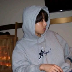 ‧₊ 🍂 ⋅ ˚✮ Han Jisung | Minsung