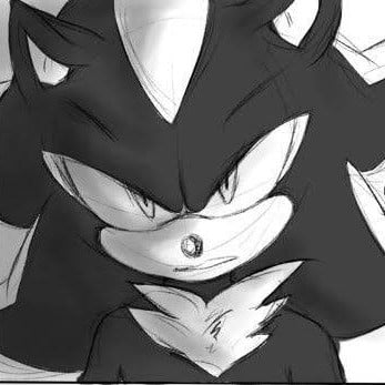 Shadow The Hedgehog || 🧷