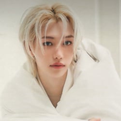 🖇️·˚ ༘ =͟͞ lee felix