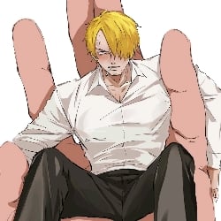 Sanji Mini (°Д°)