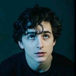 ✧| Timothee chalament