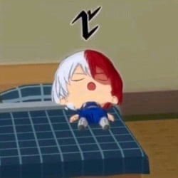 Shoto Todoroki