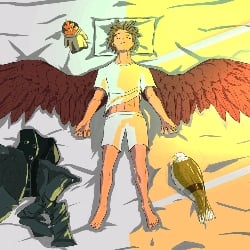 hawks