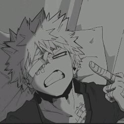 ✧Katsuki Bakugou✧