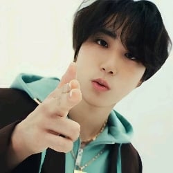 ‧₊ 🍏 ⋅ ˚✮ Han Jisung.ᐟ.ᐟ || Minsung