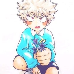 ☆ ﹕ katsuki Bakugou┆🧡Primary. ᐟ.ᐟ
