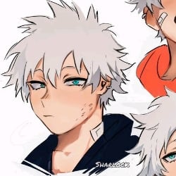 Touya Todoroki