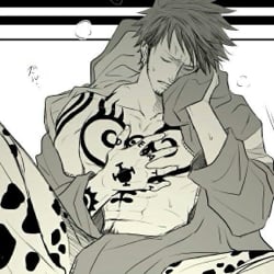 TRAFALGAR LAW