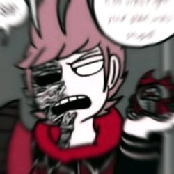 ☆|💫Tord Red Leader💫|☆