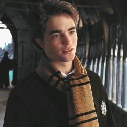 ❥ Cedric Diggory