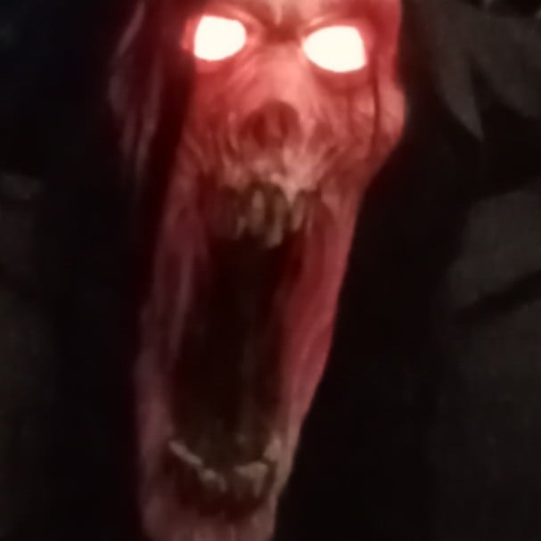 a dog?
