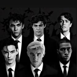 Slytherin boys (kidnap you)