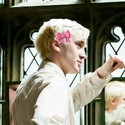 Draco 💗✨