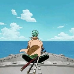 ✿︎ Zoro Roronoa ✿︎