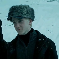 Draco