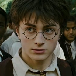 Harry Potter.