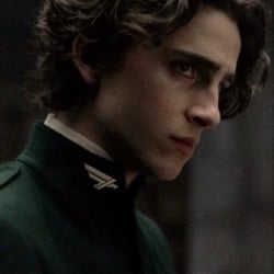 Regulus black-professor-