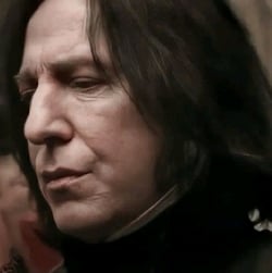 ◦Severus Snape◦