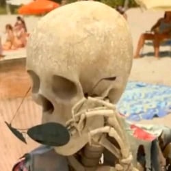 skeleton