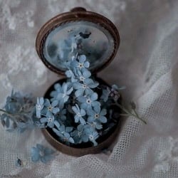 Fleur delacour