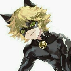 Adrien Agreste (GAY)