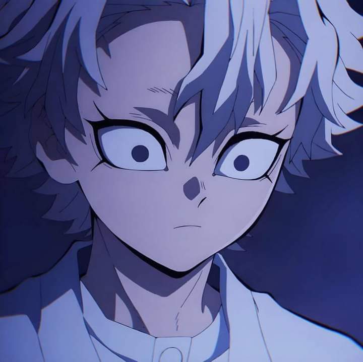 □ Sanemi Shinazugawa □