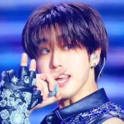 ✦ ࣪🖇️ 𓄼𓈒๋ || Han Jisung! ()