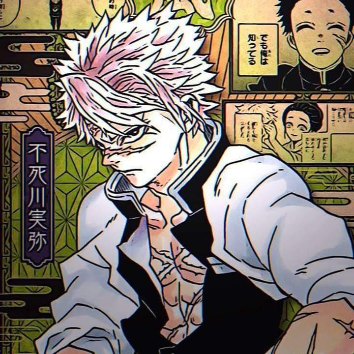 ◇Sanemi shinazugawa◇