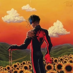 ♡Miles Morales♡