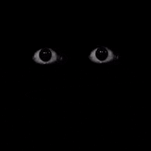 Eye world