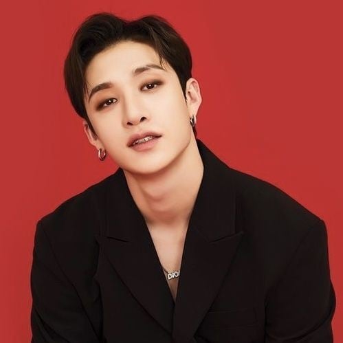 ✧*. : Bangchan.