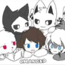 Changed sleepover (update)