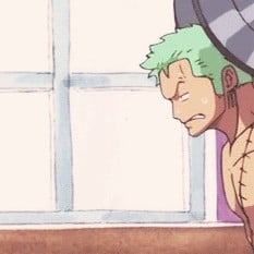 Zoro