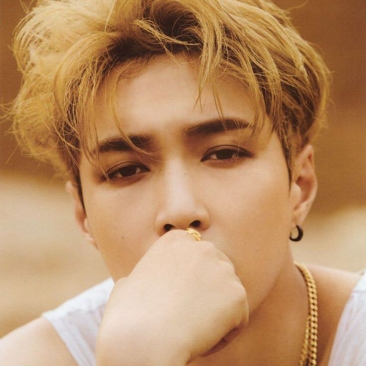 lay Zhang