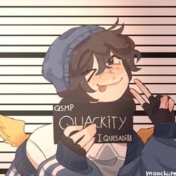 Quackity | *₊°੭.˚༘