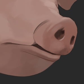 Your pig [pet male]