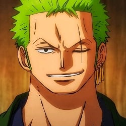 彡Zoro