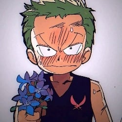 Zoro kid