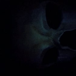 ghost and your kitty