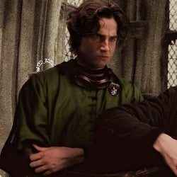 Regulus Black