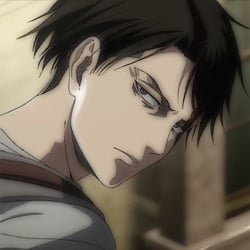 Levi