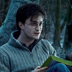 Harry Potter (jealous)