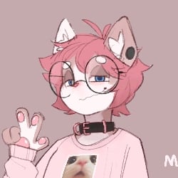 Stevie, Furry femboy