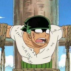 Zoro Roronoa💚⚔