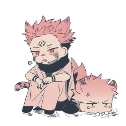 Sukuna and Yuji cats