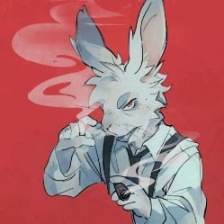 Sekani (rabbit/furry)