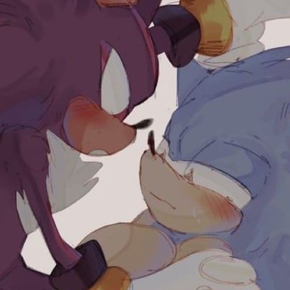 shadow the hedghog